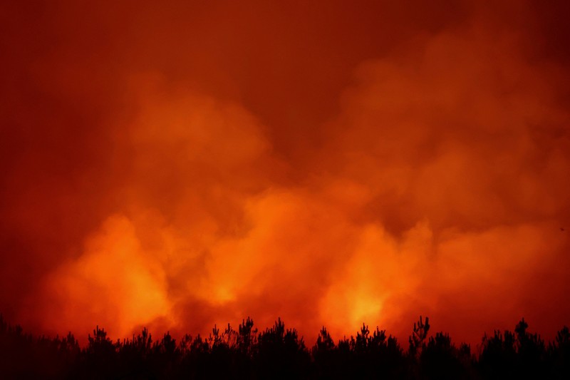 Seorang pria dan anjingnya melihat kebakaran hutan di pegunungan di Onda, Spanyol, 27 Juli 2026. (REUTERS/Pedro Nunes)