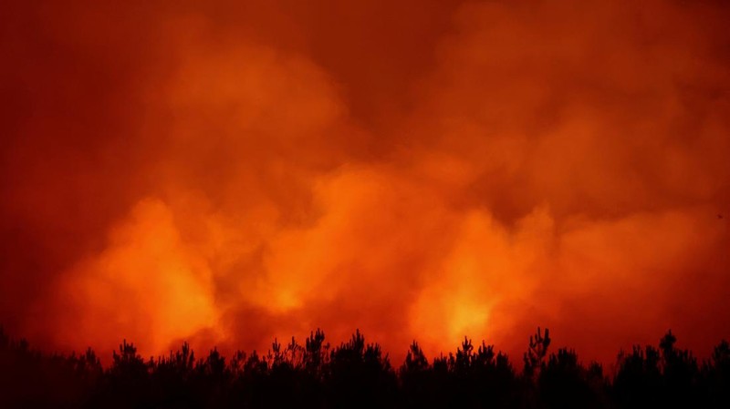 Asap mengepul saat api berkobar selama kebakaran hutan di Ares, Gironde, di tengah kondisi kekeringan yang memburuk setelah gelombang panas dan kekurangan air di sebagian besar wilayah Prancis, 25 Juli 2026.