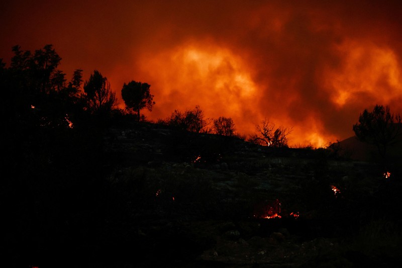 Seorang pria dan anjingnya melihat kebakaran hutan di pegunungan di Onda, Spanyol, 27 Juli 2026. (REUTERS/Pedro Nunes)