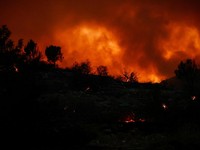Asap mengepul saat api berkobar selama kebakaran hutan di dekat Vilavella dan La Vall d'Uixo, Castellon, Spanyol, 25 Juli 2026. (REUTERS/Eva Manez)
