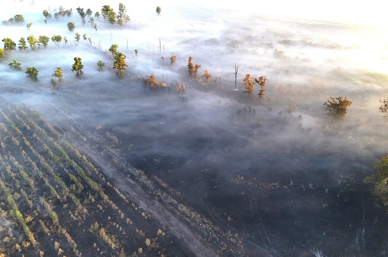 A drone view shows burnt buildings in an area affected by a wildfire in Le Porge, Gironde, amid drought conditions following a heatwave and water shortages across much of France, July 28, 2026. REUTERS/Yves Herman

     TPX IMAGES OF THE DAY