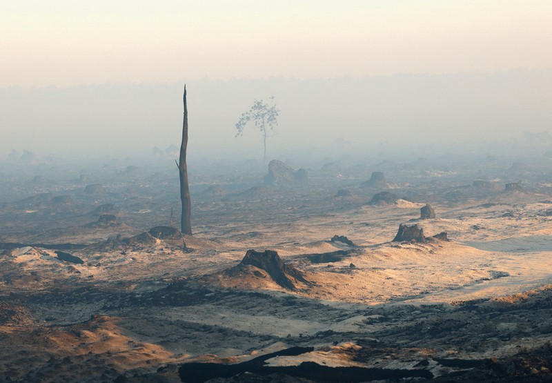 A drone view shows burnt buildings in an area affected by a wildfire in Le Porge, Gironde, amid drought conditions following a heatwave and water shortages across much of France, July 28, 2026. REUTERS/Yves Herman

     TPX IMAGES OF THE DAY