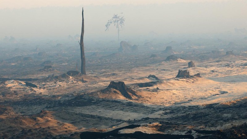 EUROPE-WEATHER/FRANCE-WILDFIRE