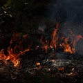 Flames rise amid burnt vegetation at Le Grand Crohot amid drought conditions following a heatwave and water shortages across much of France, Lege-Cap-Ferret, Gironde department, France, July 28, 2026. REUTERS/Florion Goga