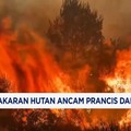 Kebakaran Hutan Ancam Prancis & Spanyol