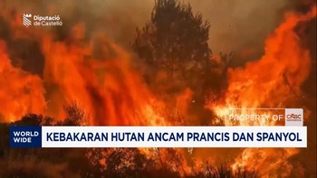 Kebakaran Hutan Ancam Prancis & Spanyol