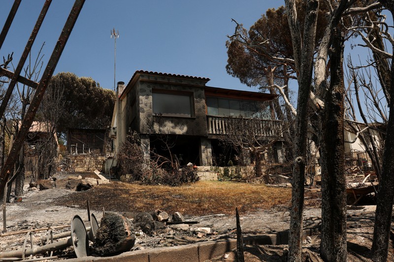 Seorang pria dan anjingnya melihat kebakaran hutan di pegunungan di Onda, Spanyol, 27 Juli 2026. (REUTERS/Pedro Nunes)