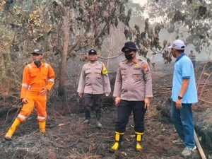 Karhutla Hanguskan 19 Hektare Hutan Konservasi, Polisi Selidiki Asal Mula Api