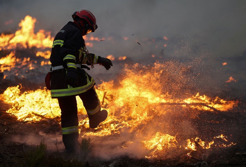 Seorang pria dan anjingnya melihat kebakaran hutan di pegunungan di Onda, Spanyol, 27 Juli 2026. (REUTERS/Pedro Nunes)
