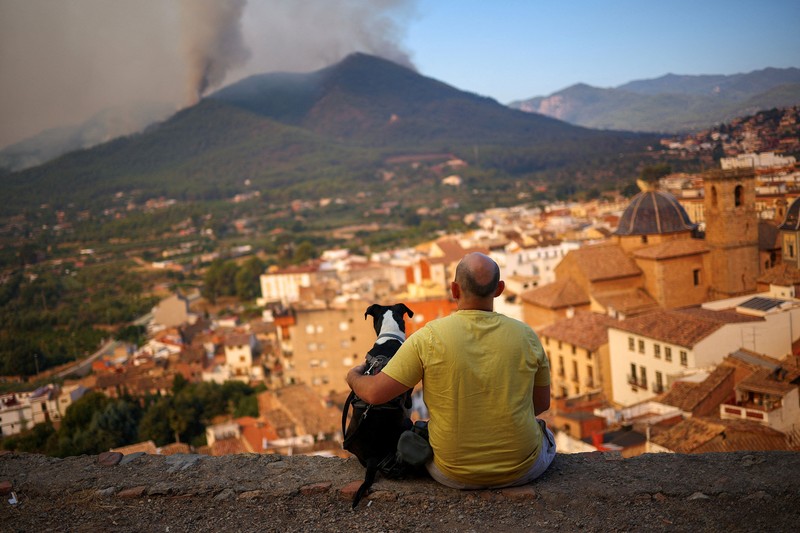 Seorang pria dan anjingnya melihat kebakaran hutan di pegunungan di Onda, Spanyol, 27 Juli 2026. (REUTERS/Pedro Nunes)