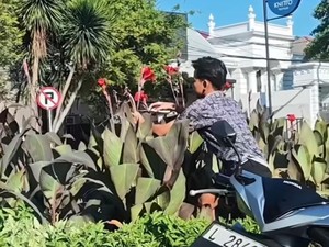 Viral Pemuda Curi Kembang di Jalur Hijau Surabaya