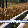 AHY Ungkap Langkah Pemerintah Kurangi Dampak Negatif El Nino Godzilla