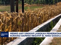 AHY Ungkap Langkah Pemerintah Kurangi Dampak Negatif El Nino Godzilla