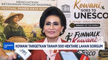 Kowani Targetkan Tanam 500 Hektare Lahan Sorgum