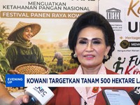Kowani Targetkan Tanam 500 Hektare Lahan Sorgum