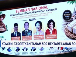Kowani Targetkan Tanam 500 Hektare Sorgum, Dorong Pangan Bergizi Nasional