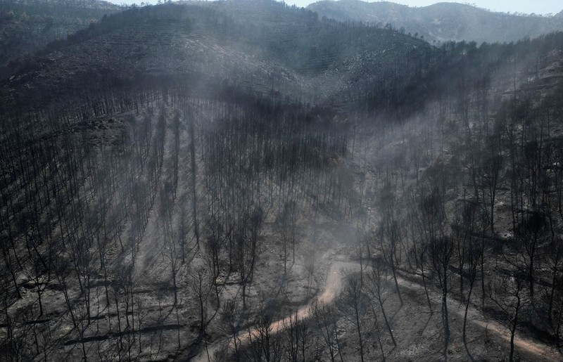 Luis Gonzalez berdiri di tengah-tengah properti yang terbakar dan rusak di desa El Tiemblo, saat kebakaran hutan terus melanda provinsi Avila dan Madrid, Spanyol, 28 Juli 2026. (REUTERS/Violeta Santos Moura)