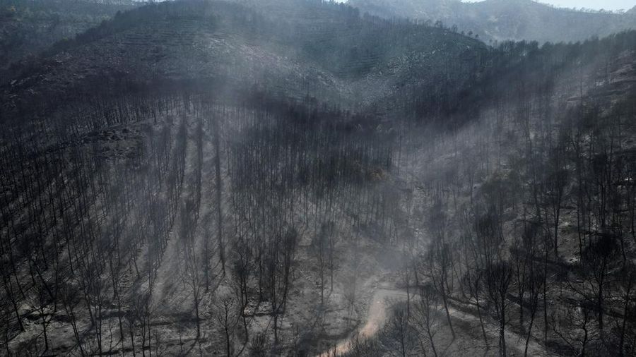 Lahan yang hangus terbakar akibat kebakaran hutan di dekat kota Castellon de la Plana, Spanyol, 28 Juli 2026.