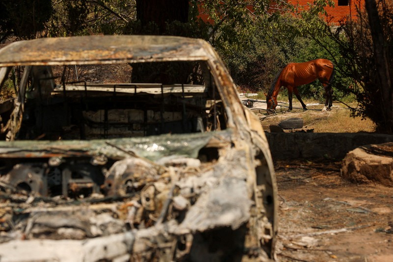 Luis Gonzalez berdiri di tengah-tengah properti yang terbakar dan rusak di desa El Tiemblo, saat kebakaran hutan terus melanda provinsi Avila dan Madrid, Spanyol, 28 Juli 2026. (REUTERS/Violeta Santos Moura)