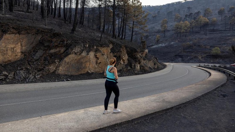 Seorang warga setempat berjalan di sepanjang hutan yang terbakar dekat El Tiemblo selama kebakaran hutan di provinsi Avila, Spanyol, 28 Juli 2026.