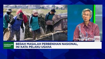 Asbenindo Unggap Sebab Petani Padi "Enggan" Pakai Benih Bersertifikat