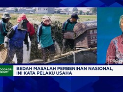 Asbenindo Unggap Sebab Petani Padi "Enggan" Pakai Benih Bersertifikat