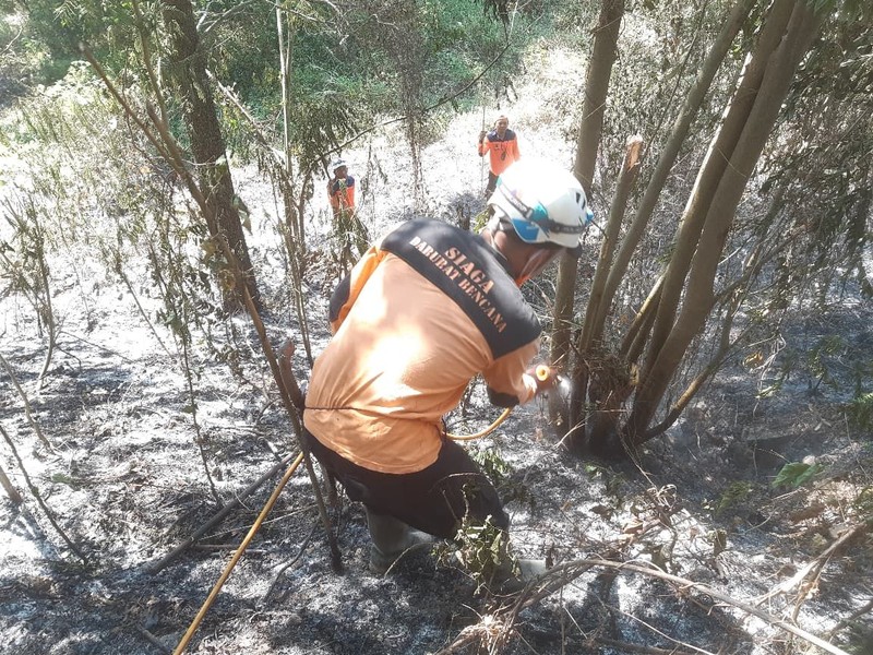 Setelah delapan hari berjuang BPBD Kota Sorong bersama petugas gabungan berhasil memadamkan seluruh titik api yang membakar 24 hektare lahan di Kota Sorong, Provinsi Papua Barat Daya, pada Rabu (29/7). (Dok. BPBD BPBD Kota Sorong)