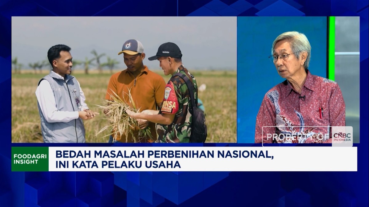 Video: Ciptakan Varietas Unggul, Produsen Benih Butuh Pembiayaan Bank
