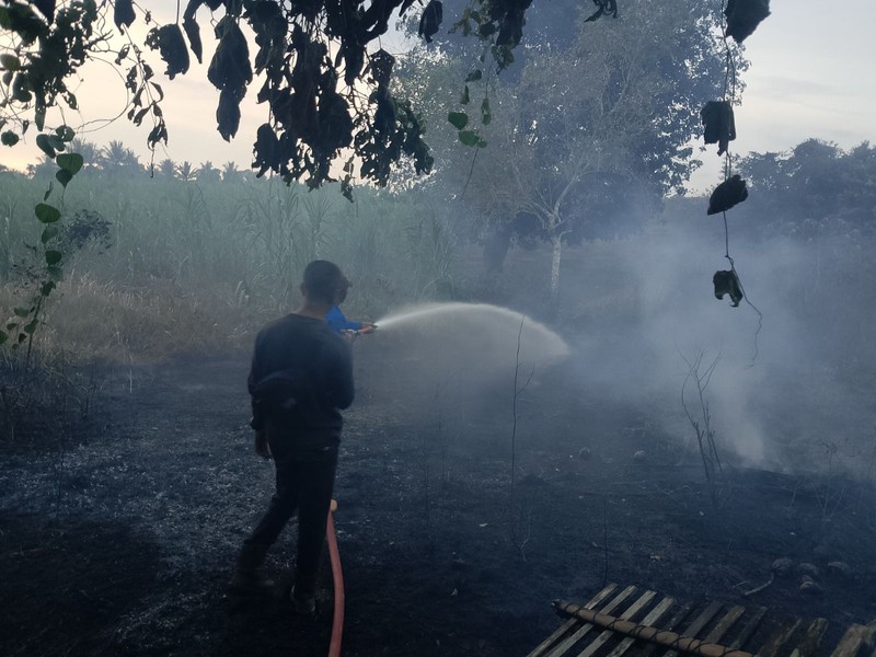 Setelah delapan hari berjuang BPBD Kota Sorong bersama petugas gabungan berhasil memadamkan seluruh titik api yang membakar 24 hektare lahan di Kota Sorong, Provinsi Papua Barat Daya, pada Rabu (29/7). (Dok. BPBD BPBD Kota Sorong)
