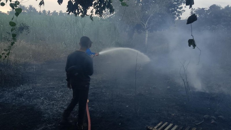 Karhutla terjadi di Gampong Cot Girek Kandang, Kecamatan Muara Dua, Kota Lhokseumawe pada Minggu (26/7) pukul 18.30 WIB.