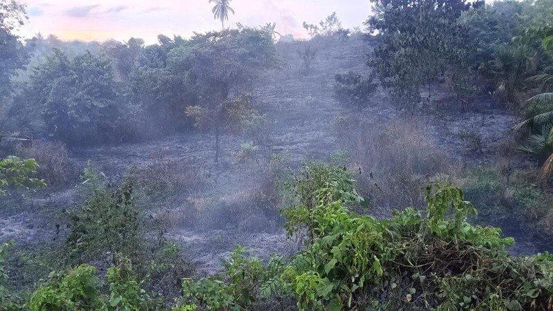 Karhutla terjadi di Gampong Cot Girek Kandang, Kecamatan Muara Dua, Kota Lhokseumawe pada Minggu (26/7) pukul 18.30 WIB.