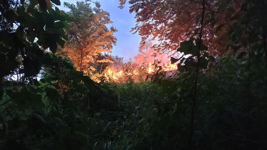 Karhutla terjadi di Gampong Cot Girek Kandang, Kecamatan Muara Dua, Kota Lhokseumawe pada Minggu (26/7) pukul 18.30 WIB.