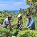Kehadiran Mantri BRI Menggerakkan Denyut Nadi Perekonomian di Talaud