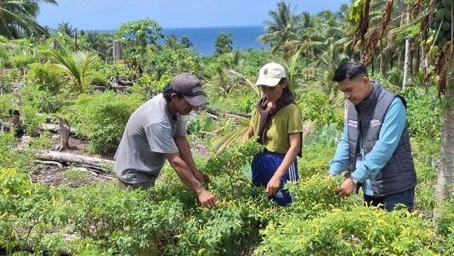 Kehadiran Mantri BRI Menggerakkan Denyut Nadi Perekonomian di Talaud
