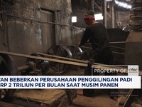 Mentan Sebut Perusahaan Penggilingan Padi Raih Rp 2 T/Bulan Saat Musim Panen