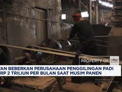 Mentan Sebut Perusahaan Penggilingan Padi Raih Rp 2 T/Bulan Saat Musim Panen