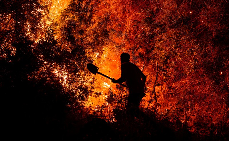 Seorang pekerja kotamadya berusaha memadamkan kebakaran hutan yang berkobar di distrik Seydikemer, provinsi Mugla, Turki, 29 Juli 2026. (REUTERS/Stringer)