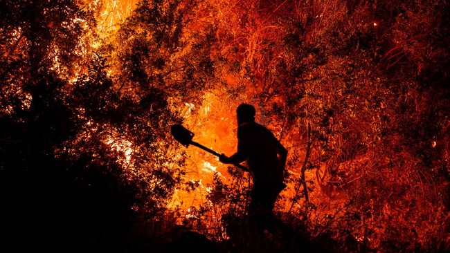 Penampakan Petugas Berjibaku Padamkan Kebakaran Besar Lahap Hutan