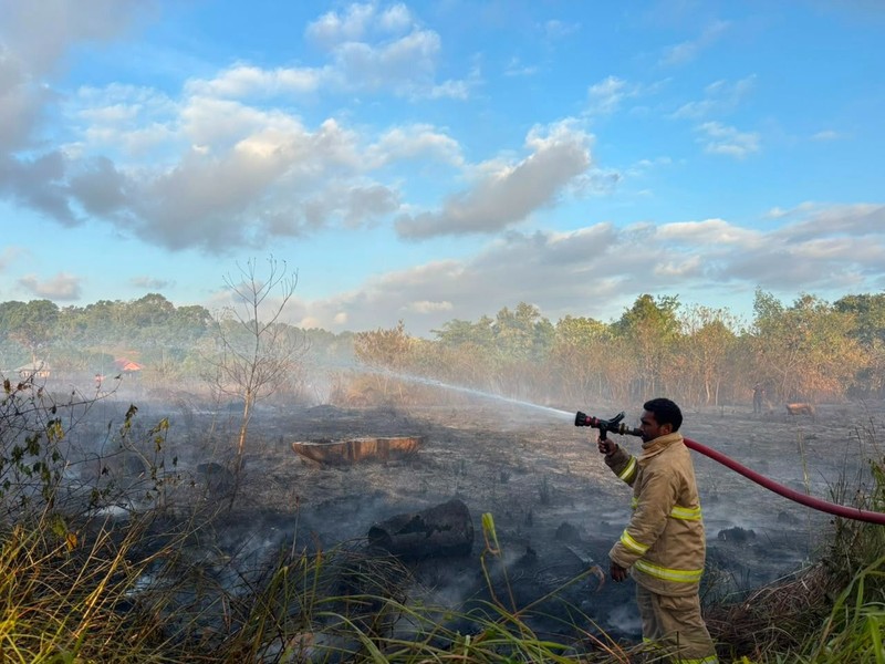 Setelah delapan hari berjuang BPBD Kota Sorong bersama petugas gabungan berhasil memadamkan seluruh titik api yang membakar 24 hektare lahan di Kota Sorong, Provinsi Papua Barat Daya, pada Rabu (29/7). (Dok. BPBD BPBD Kota Sorong)