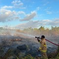 Setelah delapan hari berjuang BPBD Kota Sorong bersama petugas gabungan berhasil memadamkan seluruh titik api yang membakar 24 hektare lahan di Kota Sorong, Provinsi Papua Barat Daya, pada Rabu (29/7). (Dok. BPBD BPBD Kota Sorong)