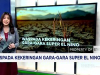 Waspada Kekeringan Gara-Gara Super El Nino