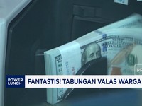 Fantastis! Tabungan Valas Warga RI Naik 185%