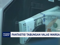 Fantastis! Tabungan Valas Warga RI Naik 185%