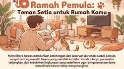 Infografis: 6 Hewan Peliharaan yang Mudah Perawatannya