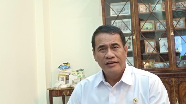 Amran Bongkar Modus Baru Mafia Beras Ikut Nikmati Subsidi Pemerintah