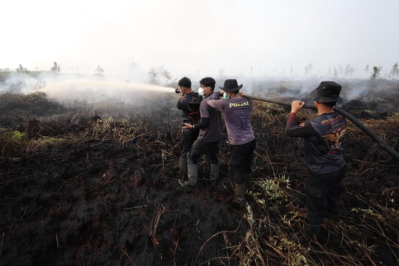 Tim gabungan Satgas Darat berjibaku memadamkan api dan mendinginkan lahan gambut yang terbakar di Desa Tumbangnusa, Kecamatan Jabiren Raya, Kabupaten Pulang Pisau, Kalimantan Tengah, Jumat (31/7). (Dok BNPB)