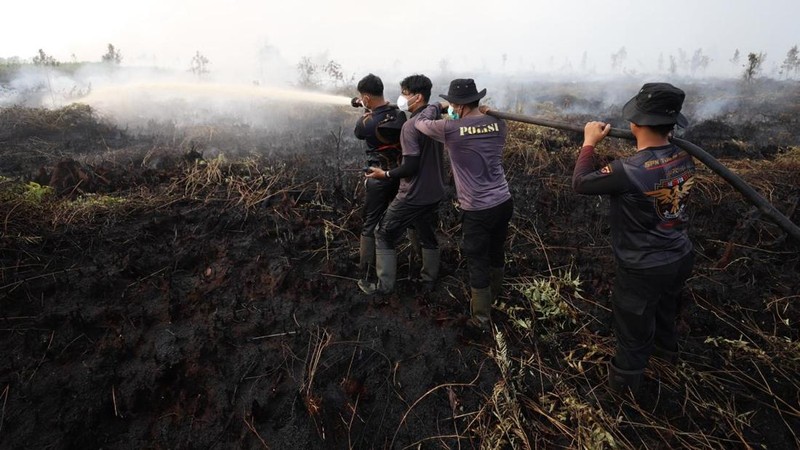 Tim gabungan Satgas Darat berjibaku memadamkan api dan mendinginkan lahan gambut yang terbakar di Desa Tumbangnusa, Kecamatan Jabiren Raya, Kabupaten Pulang Pisau, Kalimantan Tengah, Jumat (31/7). (Dok BNPB)