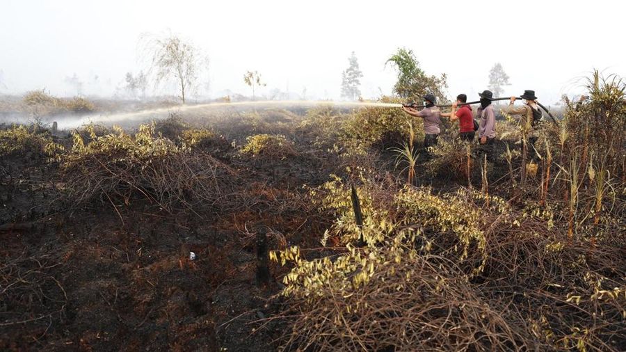 Tim gabungan Satgas Darat berjibaku memadamkan api dan mendinginkan lahan gambut yang terbakar di Desa Tumbangnusa, Kecamatan Jabiren Raya, Kabupaten Pulang Pisau, Kalimantan Tengah, Jumat (31/7). (Dok BNPB)