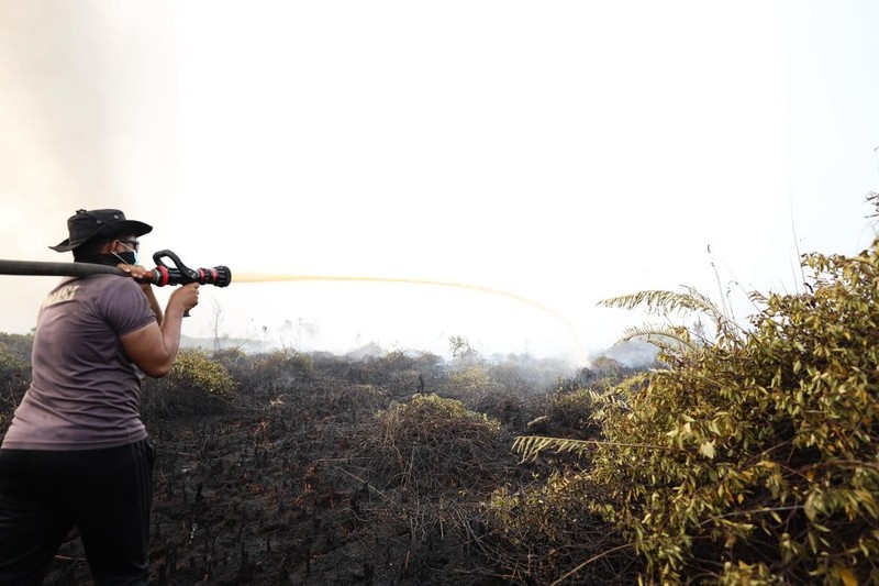 Tim gabungan Satgas Darat berjibaku memadamkan api dan mendinginkan lahan gambut yang terbakar di Desa Tumbangnusa, Kecamatan Jabiren Raya, Kabupaten Pulang Pisau, Kalimantan Tengah, Jumat (31/7). (Dok BNPB)