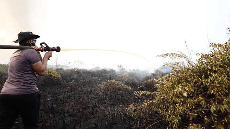 Tim gabungan Satgas Darat berjibaku memadamkan api dan mendinginkan lahan gambut yang terbakar di Desa Tumbangnusa, Kecamatan Jabiren Raya, Kabupaten Pulang Pisau, Kalimantan Tengah, Jumat (31/7). (Dok BNPB)